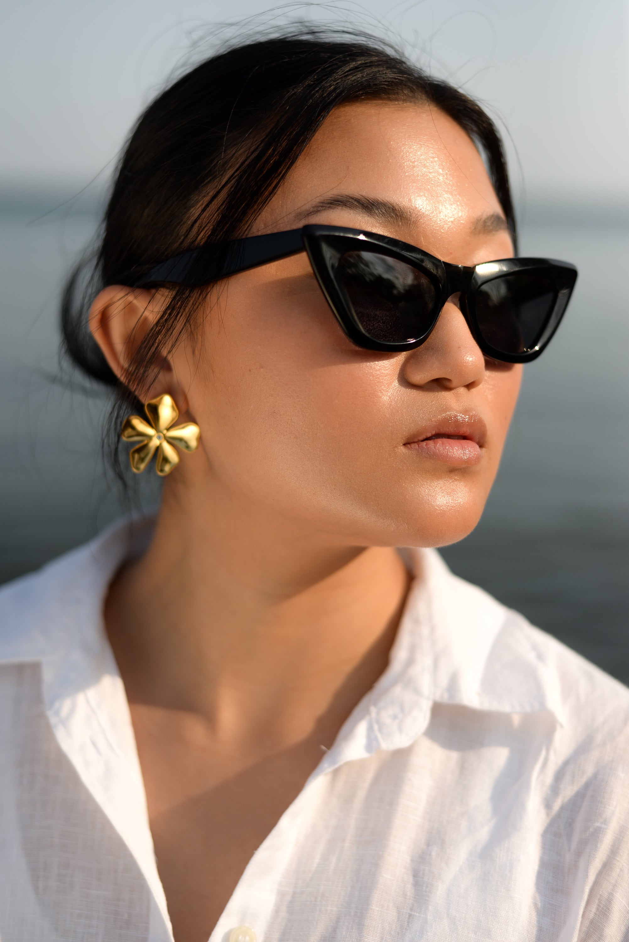 The Paris Sunglasses