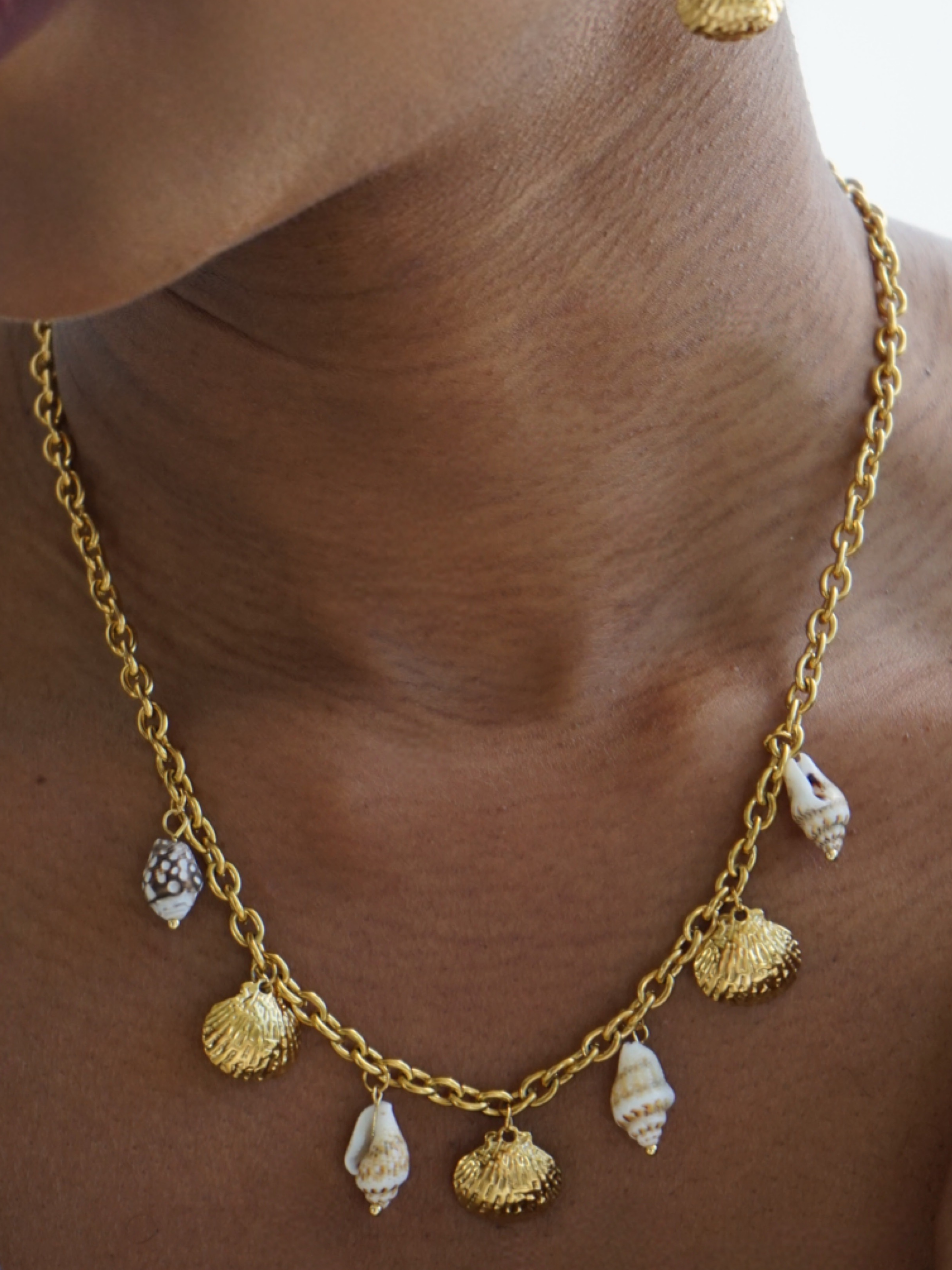 The Caspia Charm Necklace
