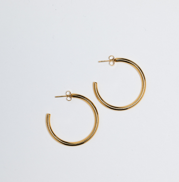 The Janet Hoops